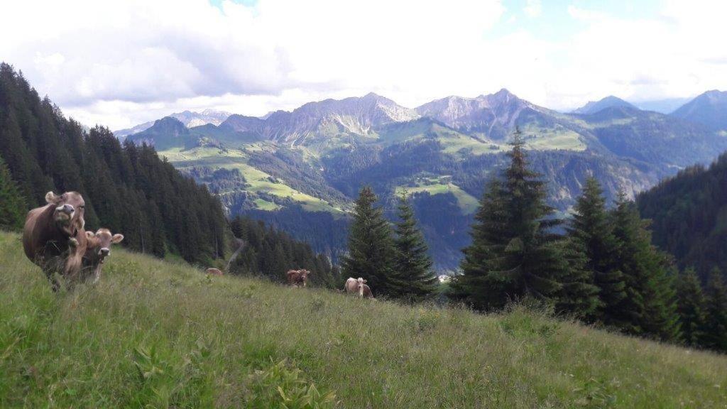 Hotel Berghaus Schafer Faschina Zewnętrze zdjęcie