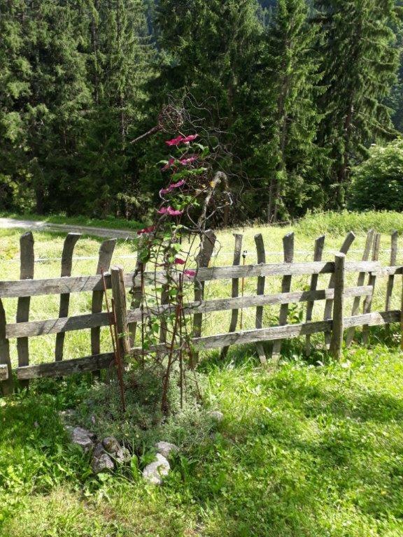 Hotel Berghaus Schafer Faschina Zewnętrze zdjęcie